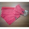 Kit Bandana Pet + Máscara Infantil Vermelho